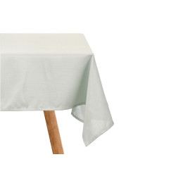 TOVAGLIA POLIESTERE 140X240CM VERDE PALLIDO 