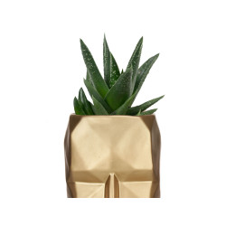 VASE VISAGE 3D OR