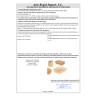 SET 50 STAMPI CARTA FRIGGITRICE AD ARA RETT