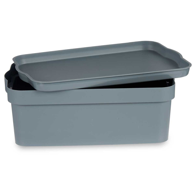 CAJA PLASTICO CON TAPA 6L GRIS
