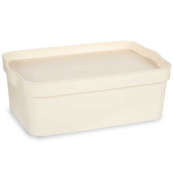 CAIXA PLÁSTICO COM TAMPA 6L CREME 