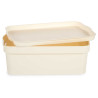 CAIXA PLÁSTICO COM TAMPA 6L CREME 