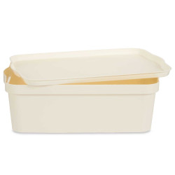 CAIXA PLÁSTICO COM TAMPA 14L CREME 
