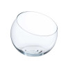 BOCAL A POISSON VERRE PETITE COUPEE 