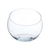 BOCAL A POISSON VERRE PETITE COUPEE 