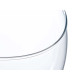 SMALL GLASS FISH BOWL