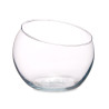 BOCAL A POISSON VERRE MOYENNE COUPEE 