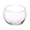 BOCAL A POISSON VERRE MOYENNE COUPEE 