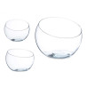 BOCAL A POISSON VERRE GRAND COUPEE 