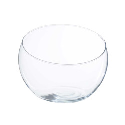 BOCAL A POISSON VERRE GRAND COUPEE 