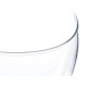 BIG GLASS FISH BOWL