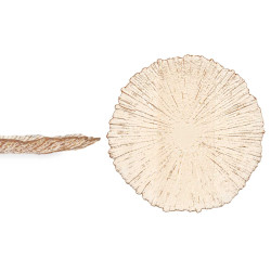 PLATO LLANO 28CM AMBAR