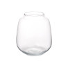 SMALL WIDE GLASS VASE