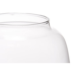 SMALL WIDE GLASS VASE