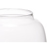 SMALL WIDE GLASS VASE