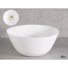 BOL OPALE LISSE 24CM