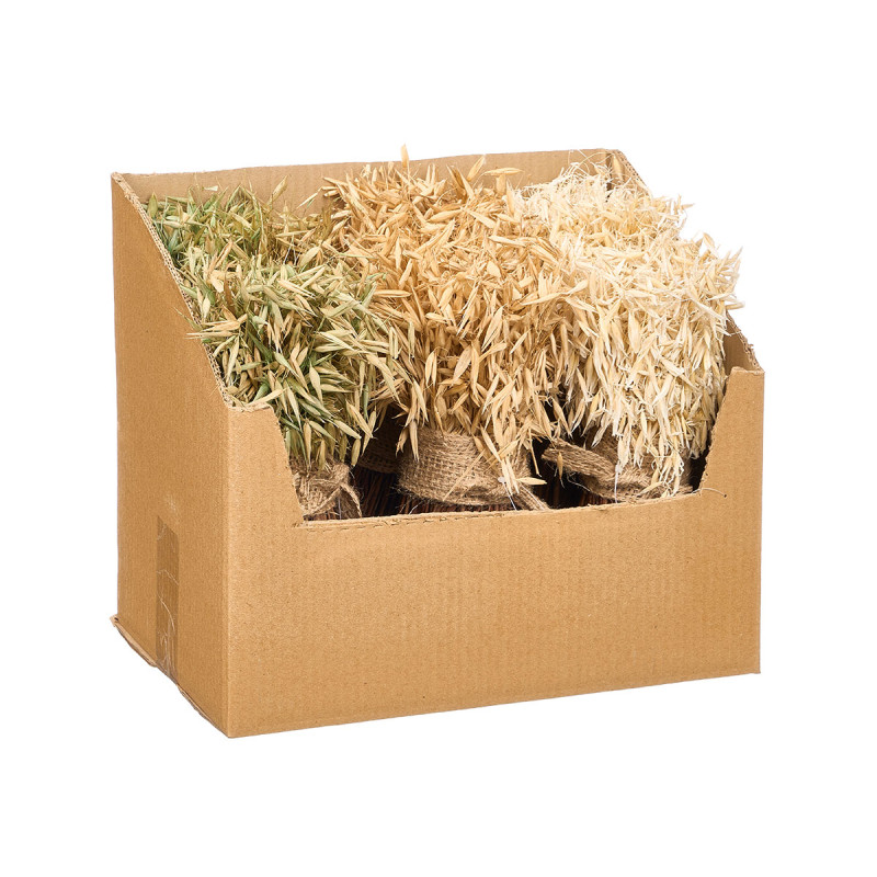 BOUQUET WITH RAFFIA RIBBON BARLEY 3 COLOURS ASSORT