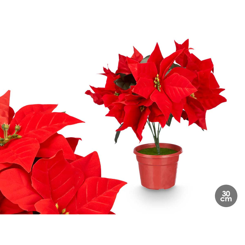 CHRISTMAS POINSETTIA 30CM