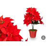 FLOR PASCUA 42CM