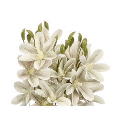 VARA 5 RAMOS 20 FLORES 55CM VERDE ENVELHECIDO