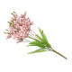 BRANCHE 5 TIGES 20 FLEURS 55CM ROSE VIEILLI
