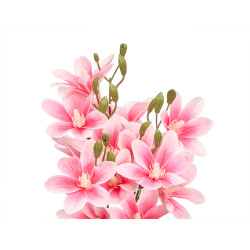 ASTA 5 RAMI 20 FIORI 55CM ROSA