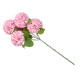 STEM 5 POMPOMS PALE PINK 57CM