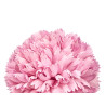 BRANCHE BOUQUET 5 POMPONS 57CM ROSE PALE