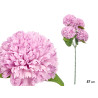 STEM 5 POMPOMS PURPLE 57CM