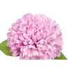VARA RAMO 5 POMPONS 57CM LILAS