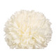 BRANCHE BOUQUET 5 POMPONS 57CM BLANC