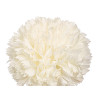 STEM 5 POMPOMS WHITE 57CM