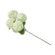 STEM 5 POMPOMS GREEN 57CM