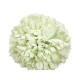 BRANCHE BOUQUET 5 POMPONS 57CM VERT
