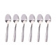 SET 6 TEASPOON