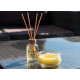 MIKADO 30ML AROMA CITRONELA