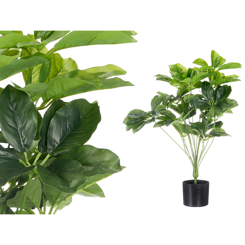 MACETA PLANTA HOJAS OVALADAS MEDIANA