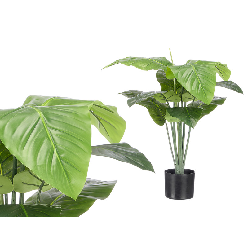 VASO PIANTA FOGLIE PUNTA LARGA PICCOLA