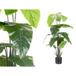 JUMBO POTTED PLANT WITH BROAD TIPPED LEAVES