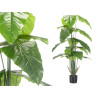 POT PLANT FEUILLES POINT LARGE SUPER