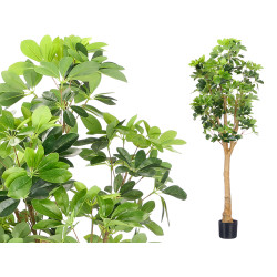 MACETA PLANTA HOJAS ALARGADAS GRANDE