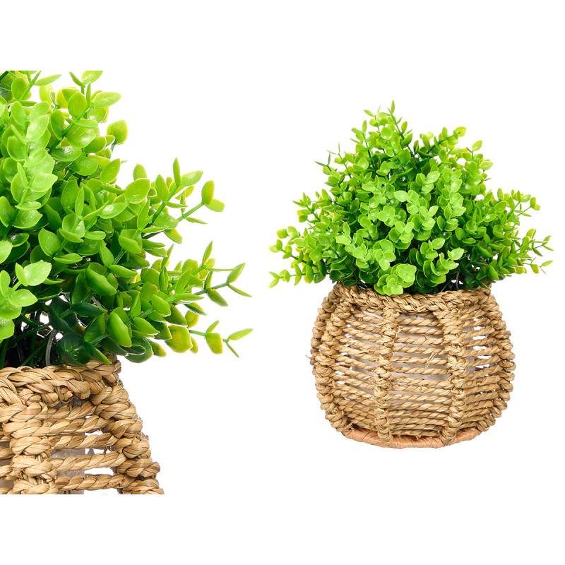 PLANTE POT RATTAN