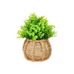 RATTAN POT PLANT