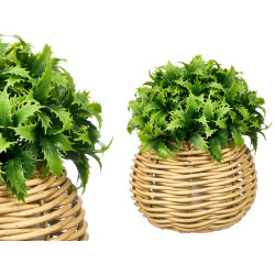 SPIKY PLANT ROUND POT