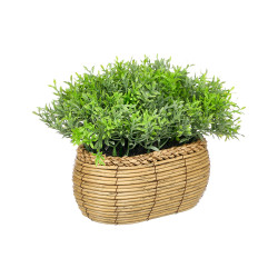 JARDINIÈRE OVALE PLANTE VERTE