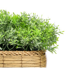 JARDINIÈRE OVALE PLANTE VERTE