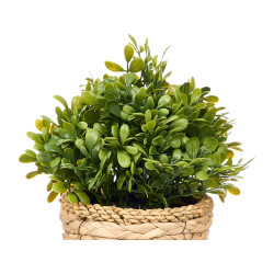 WICKER PLANTER GREEN PLANT