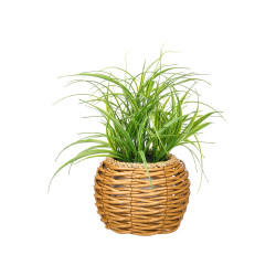 PIANTA VERDE VASO BOMBATO