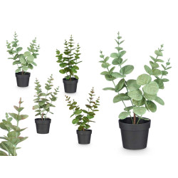 MATTE GLOSS POT ROUND LEAF PLANT ASSORTED 4 COL