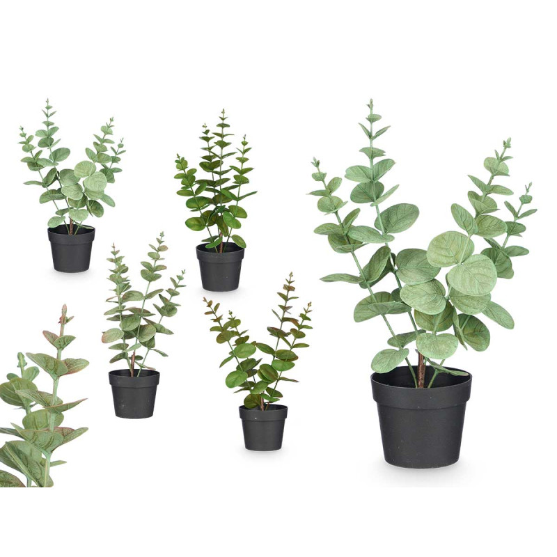 MATTE GLOSS POT ROUND LEAF PLANT ASSORTED 4 COL